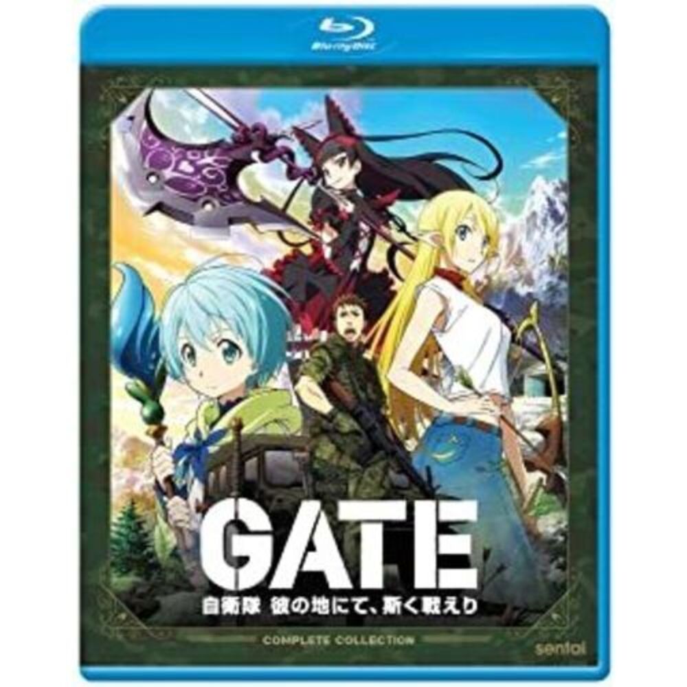Gate